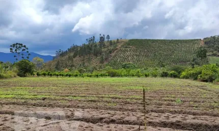 Terreno à venda no Granja Mafra, Teresópolis 