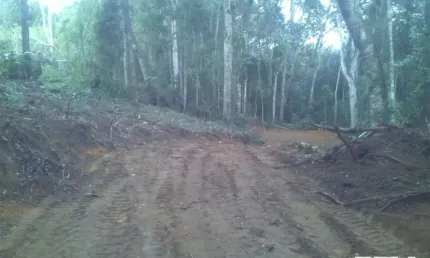 Terreno à venda na Avenida Zurich, Fazenda Suiça, Teresópolis