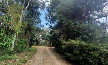 Terreno à venda na Rua Basiléia, Fazenda Suiça, Teresópolis