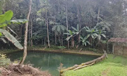 Terreno para Venda em Teresópolis, Prata dos Aredes