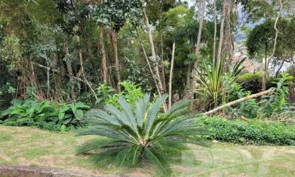 Lote em Condomínio Fechado para Venda em Teresópolis, Bom Retiro