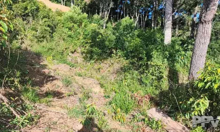Lote em condomínio fechado para venda em teresópolis, prata