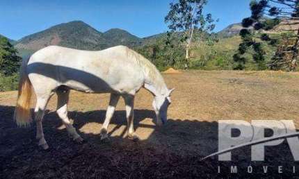 Sítio para Venda em Teresópolis, Fazenda Alpina, 2 dormitórios, 1 banheiro
