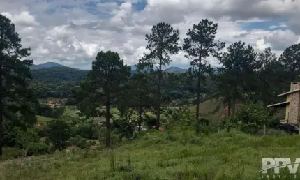 Terreno à venda na Avenida Zurich, Fazenda Suiça, Teresópolis