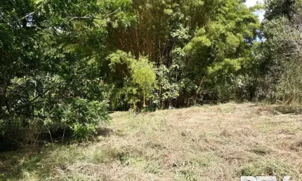 Terreno à venda na Estrada Vargem Grande, 738, Vargem Grande, Teresópolis