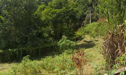 Chácara / sítio à venda na Estrada RJ-130, Vargem Grande, Teresópolis