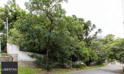 Terreno, 363.78 m², em Vila Conceição, em região elevada e livre de inundações