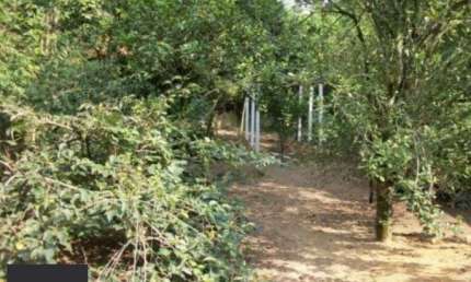 Sobrado para Venda - 800m², 3 dormitórios, Belém Novo