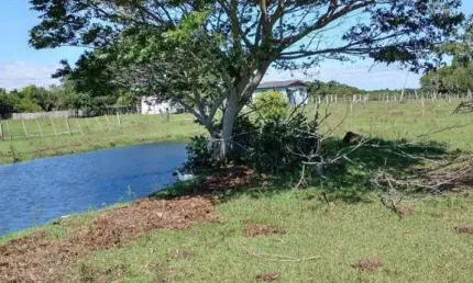 Excelente Sítio na Capital de 6.737,57 m2, Bairro Lami, Porto Alegre RS