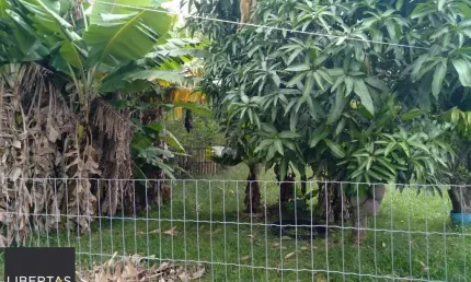 Sítio 3 dormitórios à venda Passo do Vigário Viamão/RS