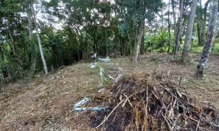 Terreno à venda em Rio Novo, Águas Mornas 