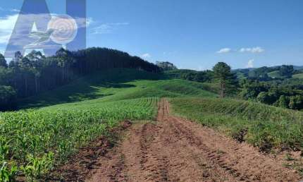Área à venda em Bateias de Baixo - Campo Alegre/SC, Rural