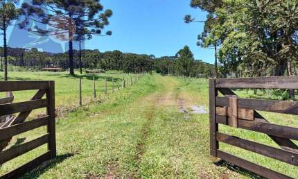 Terreno à venda em São Miguel, Campo Alegre 