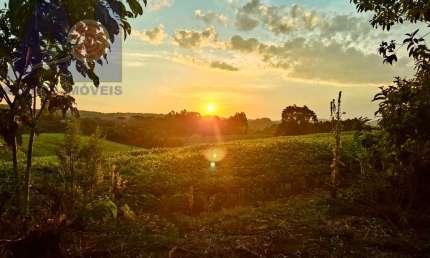 Terreno à venda no Bateias de Baixo, Campo Alegre 