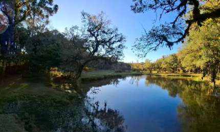 Chácara / sítio com 6 quartos à venda na Estrada Principal Do Tarumã, Zona Rural, Agudos do Sul