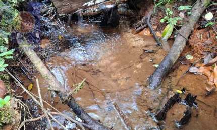 Terreno à venda na Estrada Principal Ribeirão Do Meio, Ribeirão do Meio, Campo Alegre