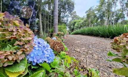 Chácara / sítio com 3 quartos à venda na Estrada Secundaria Em Bateias De Baixo, Bateias de Baixo, Campo Alegre
