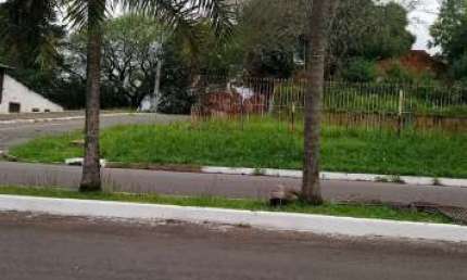 Terreno à venda na Rua Guarujá, --, São José, Canoas