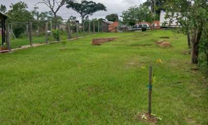 Terreno 12,00X80,00 metros 960m² Rua Itapuí Bairro Caju Nova santa Rita - RS.