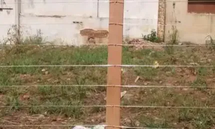 Terreno de esquina 12x36 metros rua tiete esquina com rua roraima igara canoas