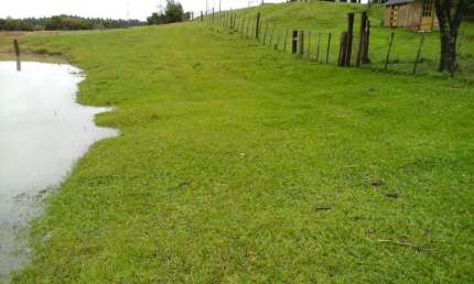 Chácara  com 9,4 Hectares , 94.000,00 m² de área  em Guaíba -RS