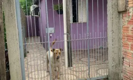 Casa de alvenaria rua travessa das chácaras bairro fátima canoas rs.
