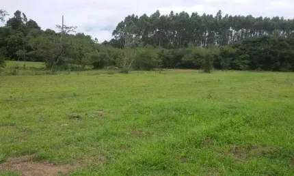 Chácara / sítio com 2 quartos à venda na Rua Manoel Olavo Da Rosa, --, Passo Raso, Triunfo
