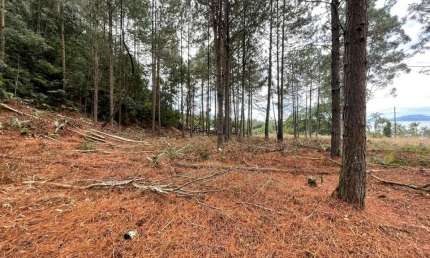 Terreno à venda no São Miguel (Guaporanga), Biguaçu  por R$ 3.500.000