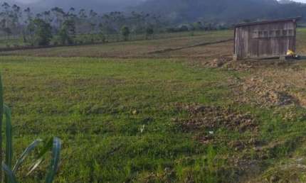 Terreno à venda no Três Riachos, Biguaçu  por R$ 900.000