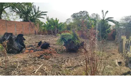 Terreno à venda no Parque dos Eucalíptos, Mogi Guaçu 