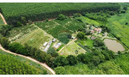 Dupla aptidão sitio  4,7 hec . certificado organico p/ produção  cafe serra negra s.p. , hospedagem e turismo rural