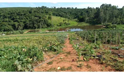 imóvel rural  à venda de 88.000 m2 , com  área construída de 290 ac em Campestre - Minas Gerais