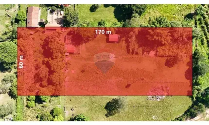 TERRENO/CHÁCARA - 1 ha (10.200 M²) - COND. RURAL COLMÉIA - JAGUARIÚNA, SP