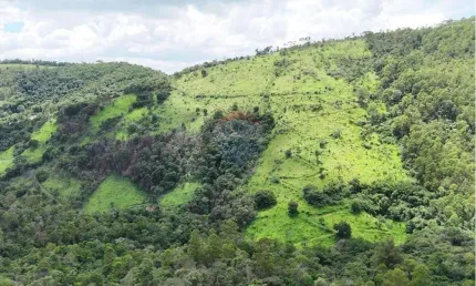 Chácara / sítio à venda na Ponte Preta, Monte Alegre do Sul 