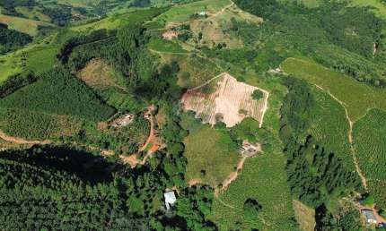 SÍTIO 87725 M2 , 01 CASA DE CASEIRO COM SALA, COZINHA, BANHEIRO E ÁREA COM FOGÃO A LENHA E LAVANDERIA, CASA COM 2 QUARTOS ,SALA, COZINHA