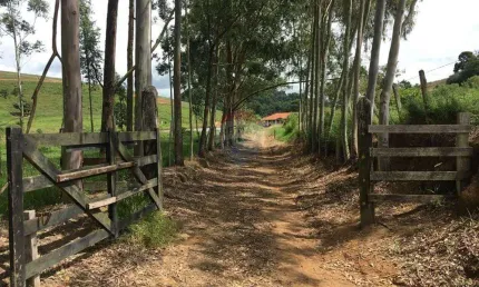 'Fazenda Deslumbrante em Socorro: Investimento Único'