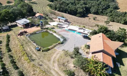 Sítio com 198.480 m² para Café e Pecuária em Monte Sião