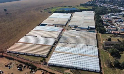 Sítio com estufas para produção de horticultura ou floricultura