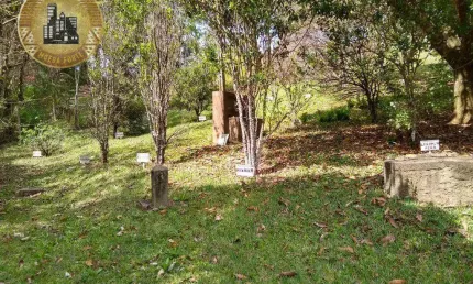 Área à venda, 5700 m² por R$ 600.000 - Pinhal - Jarinu/SP