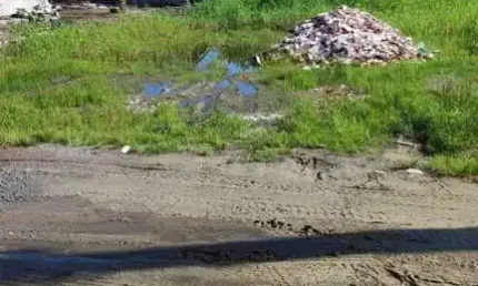 Terreno em Praia para Venda em Pontal do Paraná, Balneário Canoas