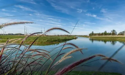 Terreno em condomínio fechado à venda na Estrada Do Conde, Sans Souci, Eldorado do Sul