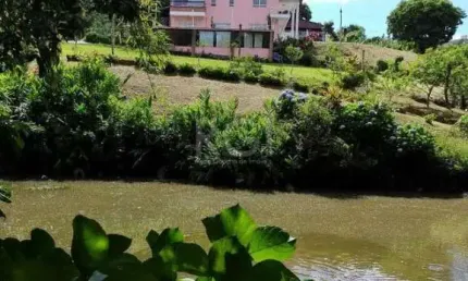 Casa com 4 quartos à venda na Estrada das Furnas, Vila Nova, Porto Alegre