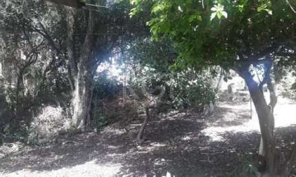 Terreno à venda na Avenida Senador Salgado Filho, Cecília, Viamão