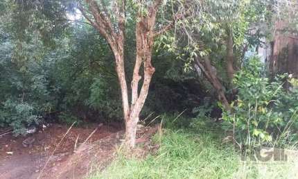 Terreno à venda na Rua Francisco Alves, Nossa Senhora das Graças, Canoas