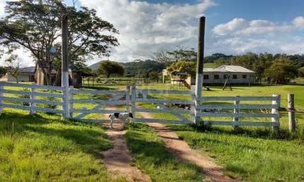 Sítio para Venda - 10000m², 0 dormitórios, Passo Fundo