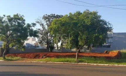 Terreno para Venda - 0m², 0 dormitórios, Nossa Senhora das Graças