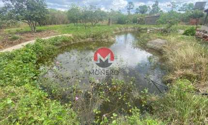 PROPRIEDADE com 06 HECTARES a 300 METROS DA RODOVIA CE 156 apenas 1H de FORTALEZA | Catuana, Caucaia-CE