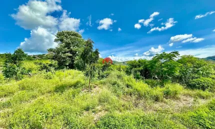 FAZENDA apenas 100 METROS da BEIRA DA PISTA com 191 HECTARES em ARACOIABA | Centro, Aracoiaba-CE