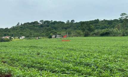 Terreno à venda na Estrada Da Mata, Água Boa, Paiçandu