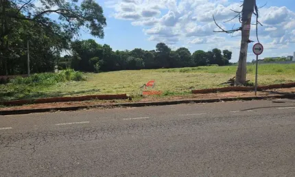 Terreno comercial a venda na av. das azaleias   jardim santa rosa